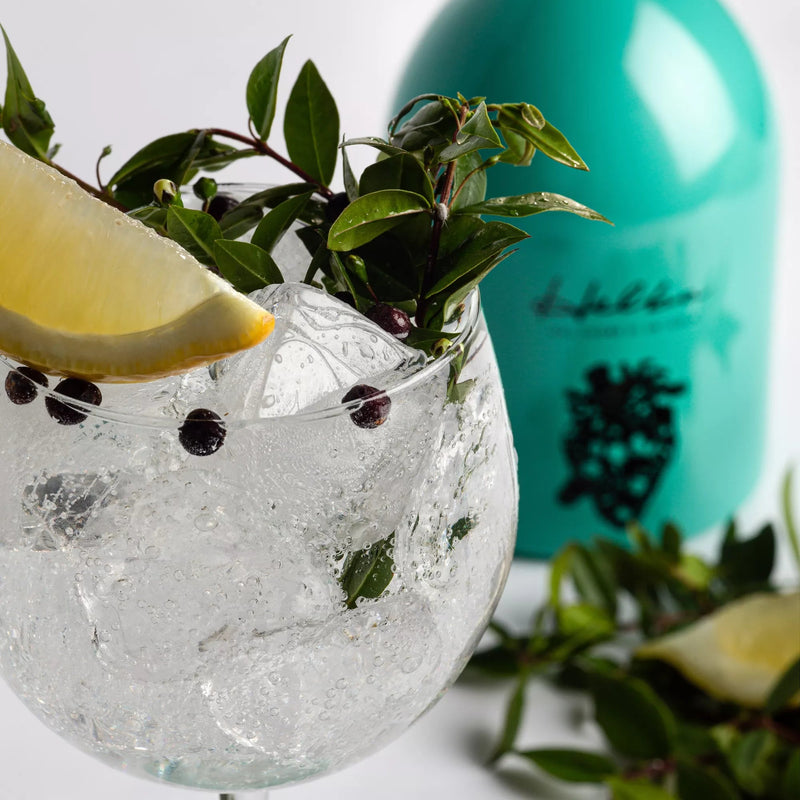 Helba London Dry Gin mit handbedruckter Geschenkverpackung - selectedbyjule - Spirituose